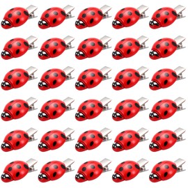 Luinabio 30 Pcs Ladybug Hair Clips, Mini Resin Clips for Halloween Party