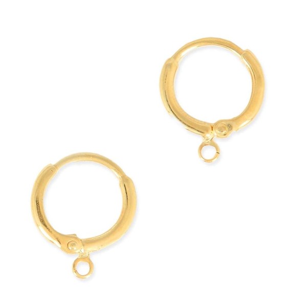 20pcs Adabele Hypoallergenic Dangle Tarnish Resistant Round Hoop Huggie Earring Hooks Earwire14mm (0.55 Inch) Long Gold Plated Brass for Earrings Making BF263-1