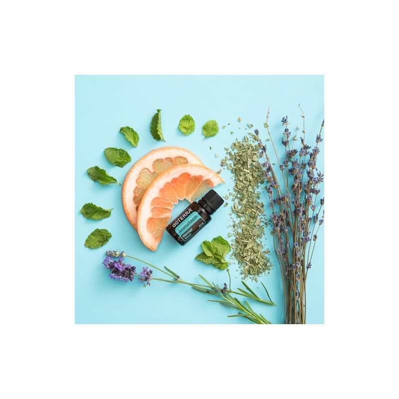 doTERRA AromaTouch Massage Blend - 15 mL