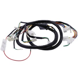 Main Wiring Harness Compatible with Baotian BT49QT-9, Benzhou YY50QT, YY50QT-15 Retro Star, MKS Ecobike, REX RS450, RS460, ZNEN ZN50QT-E