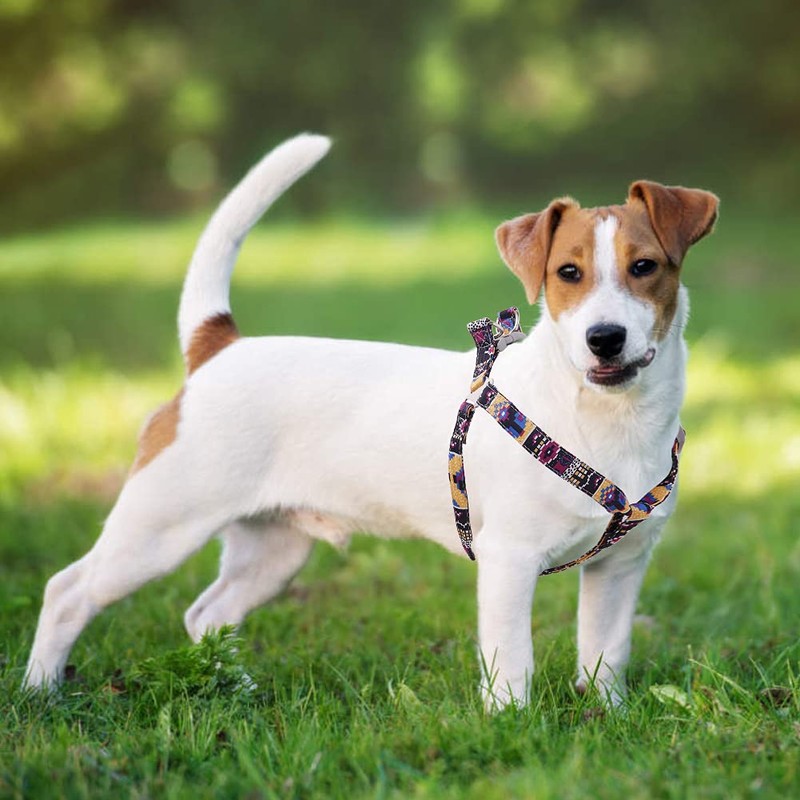 Petsyards Dog Harness and Leash Set, No Pull Step in