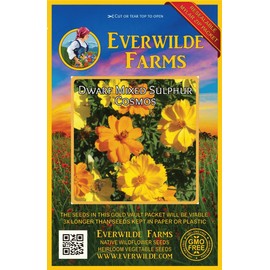 Everwilde Farms - 1 Oz Dwarf Mixed Cosmos Wildflower Seeds - Gold Vault