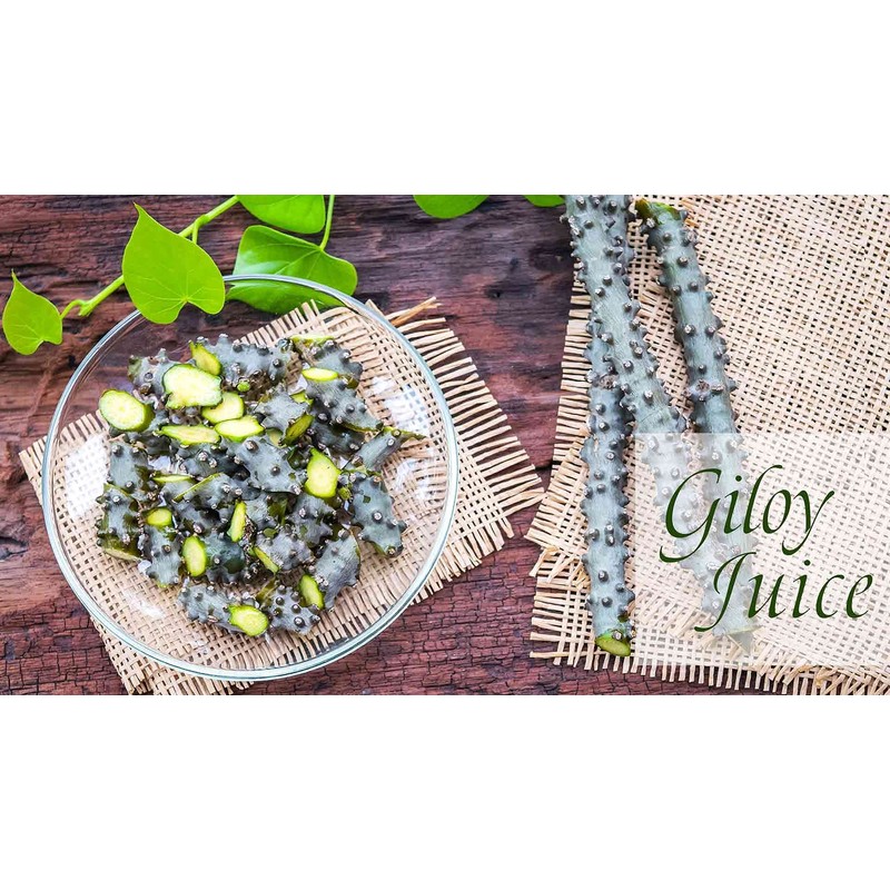 Herbal Magic's Pure & Natural Giloy Powder, for Super Smoothies,