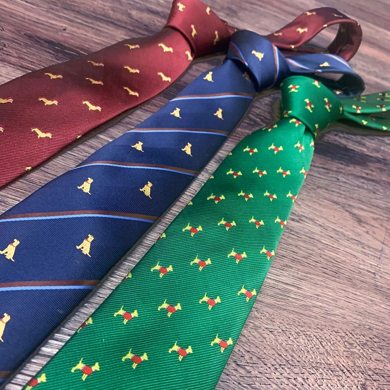 Spring Notion Boy's Microfiber Woven Labrador Christmas Ties Medium Royal