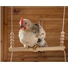 Bird Swing Wooden Hanging Chicken Swing Stand Suspension Bridge Budgie