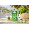 Ahmad Tea - Mint Mystique Flavoured Green Tea 20 Bags