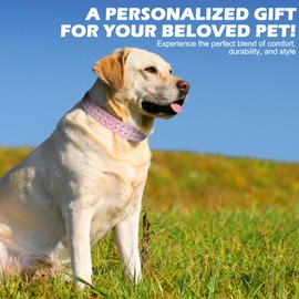 BINGPET Dog Leather Collar, Adjustable Dog Real Split Leather Studded Pet Collar, Durable Doggy Collars for Small Medium Large Dogs, Pink S