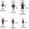 Autoam Plastic Rivets Bumper Clips, 455 Pcs 18 Types, Universal
