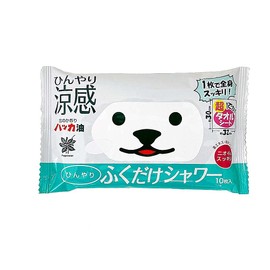 Kitami Peppermint Oil Formula, Cool Just Shifting Shower, Kitami Peppermint Scent, Pack of 10