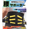 Capprecier Lower Back Support, Lower Back Pain Belt, Corset, Recommended