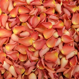 Petals and Roses Freeze Dried Rose Petal Confetti | Natural & Biodegradable for Weddings, Burnt Orange, 1 Litre