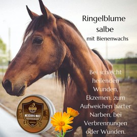 Marigold Ointment for Horses - Calendula Ointment - Poorly Healing Wounds, Eczema, Softening Hard Scars, Burns or Wounds Topvet 100 ml