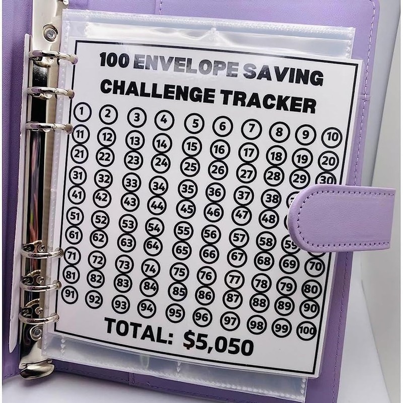 LUXTE 100 Envelope Challenge Binder, 100 Envelopes Saving Challenge, Cash