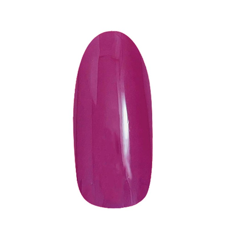 PRE GEL PG-CE904 Color EX Deep Wine, 0.1 oz (3