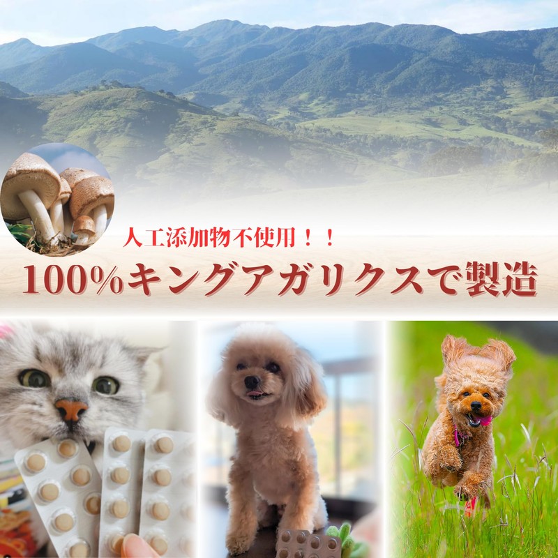 King Agaricus 100 Dog and Cat Supplement, Daily Health Care