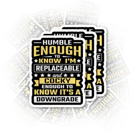 Set 3Pcs Humble Enough to Know Sticker Funny Quotes Sarcastic Meme Humor Sticker Bookish Hard Hat Waterproof 2 Inches Die-Cut Vinyl for Water Bottle Laptop Phone for Friend Coworker Dad Mom