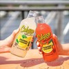 Calypso Lemonades 16 Ounce Glass Bottles 6 Pack (Southern Peach