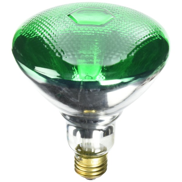 Westinghouse Lighting Green 0441300, 100 Watt, 120 Volt Incandescent BR38 Light Bulb-2000 Hours, 1 Pack