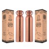 Ancient Impex Seamless Leak-Proof Water Bottle Set 1000 Ml (33.81