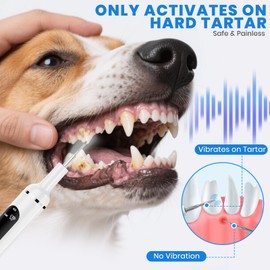 PATWING Pet Ultrasonic Tooth Cleaner,Dog Plaque Remover Tool,White