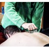 EDGE Mobility System The EDGE Mobility Tool - best all