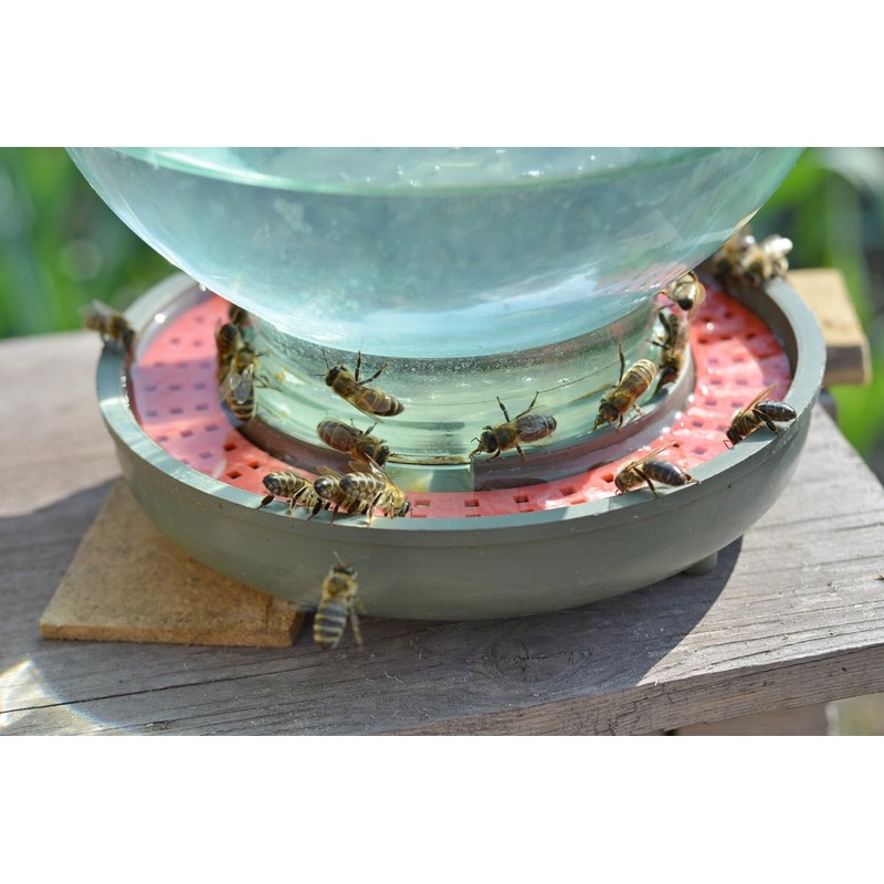 ZAVHOZ Bees Feeding Bowl Bee Feeder Hive Water Drinker Sugar
