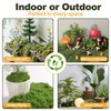 MAISONRINA 10.6OZ Fake Green Moss for Planters Outdoor Indoor Decorating