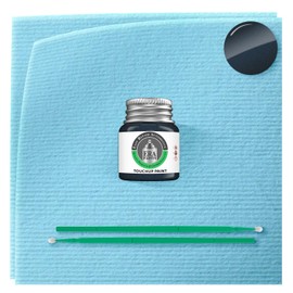 ERA Paints PBV/HBV - Blackberry Pearl for CHRYSLER Exact Match Automotive Touch Up Paint Jar - Basic Kit