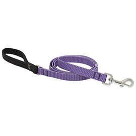 LupinePet Eco 3/4" Lilac 6-Foot Padded Handle Leash for Medium and Larger Dogs