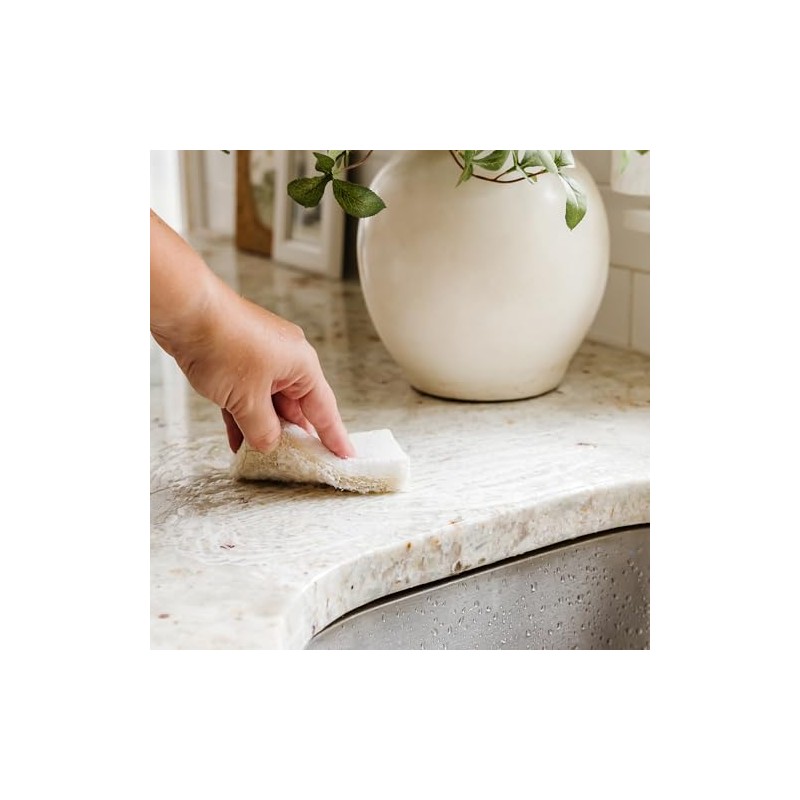 Full Circle Coconut Scrubber Sponges, Pack of 6 – Dual-Sided,