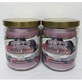 Smoke Odor Exterminator 13oz Jar Candle, Mulberry & Spice Two Pack.