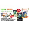 Kumon Publishing Gem and Mineral Discovery Card Game KUMON TOY