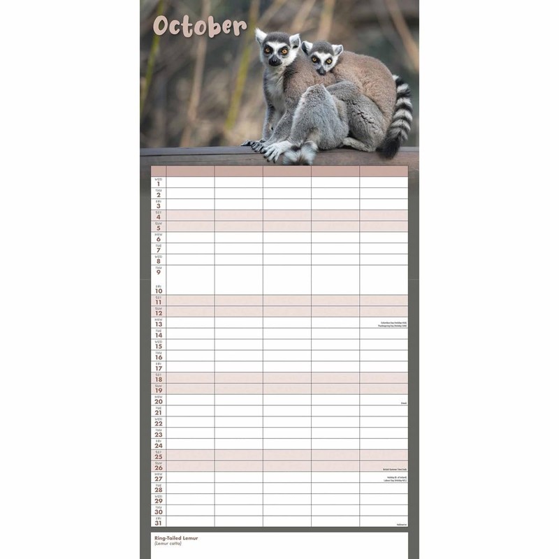 Busy Life Wall Planner 2025 (PFP)
