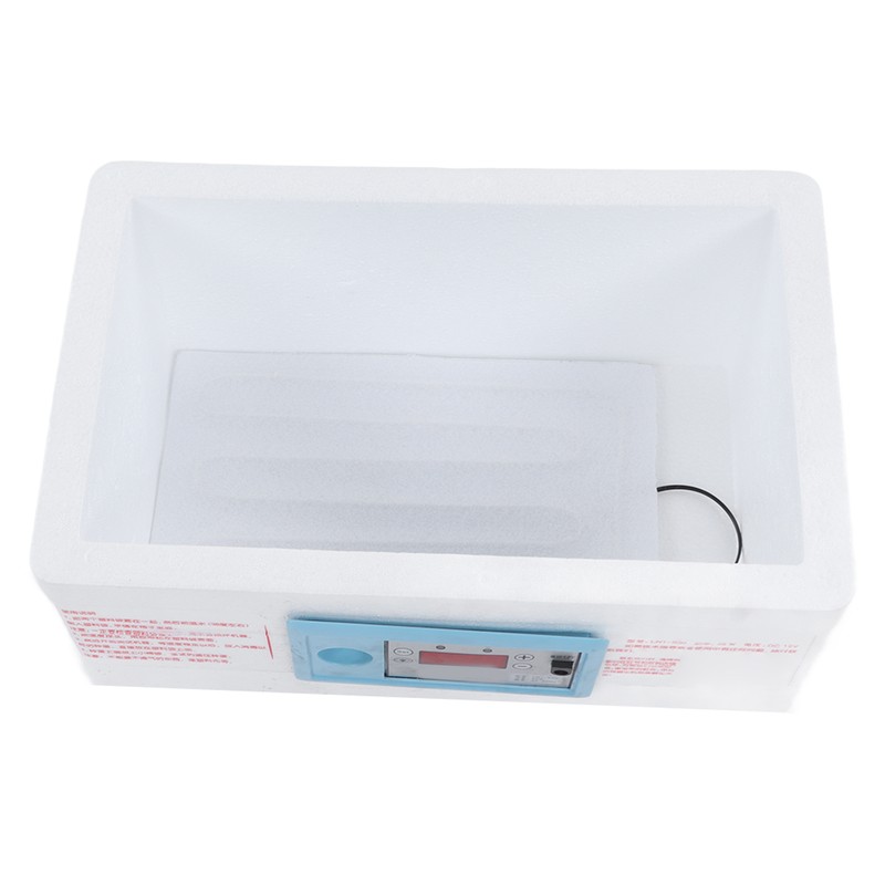 Egg Incubator Small Multifunctional Household Chicken Incubator for Hatching Chick