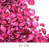 RainbowPana 50 Pack Biodegradable Confetti, Dried Flower Petals, Biodegradable Flower