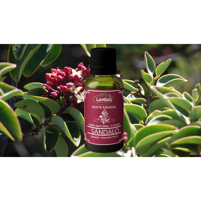 ACEITE ESENCIAL DE SANDALO 30ML