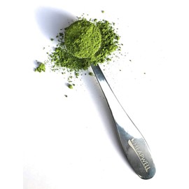 Heapwell Superfoods Stainless Steel Matcha Green Tea Measuring Spoon – 1g Precision Portion Scoop for Perfect Matcha Serving