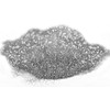 VViViD Prisma65 Raw Pigment Silver Metallic Glitter Powder 15g Jar