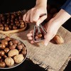 MxTong Nut Cracker Heavy Duty Nutcracker Macadamia Cracker Stainless Steel