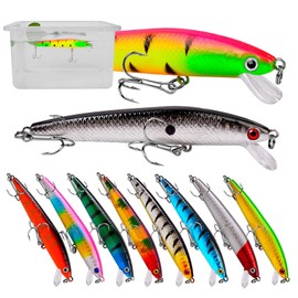 JasCherry Lifelike Fishing Lures Kit, 3D Eyes Fish Lures Hook Baits, Fishing Accessories Kit Set, Fish Jigs for Freshwater and Saltwater, 10PCS