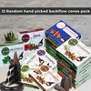 Trumiri Backflow Incense Cones for Waterfall Fountain - 12 Random