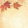 Great Papers! Fall Leaves Letterhead, Imprintable Stationery, 80 Sheets, 8.5"