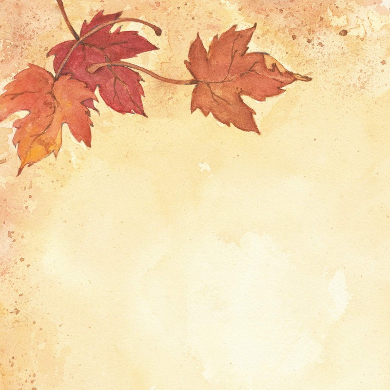 Great Papers! Fall Leaves Letterhead, Imprintable Stationery, 80 Sheets, 8.5"