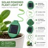 Solar Garden Lights for Outdoor Décor – 2 Pack Firefly
