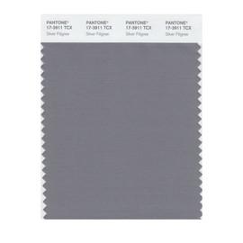 Pantone 17-3911 TCX Smart Color Swatch Card, Silver Filigree