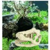 XIZHI Aquarium Decorated Skeleton Hole Resin Artificial Dinosaur Skeleton Ornament