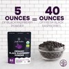 Jungle Powders Organic Black Raspberry Powder 5 Ounce Bag, USDA
