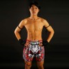TUFF Muay Thai Shorts Boxing Trunks (TUF-MS619-BLK, L)