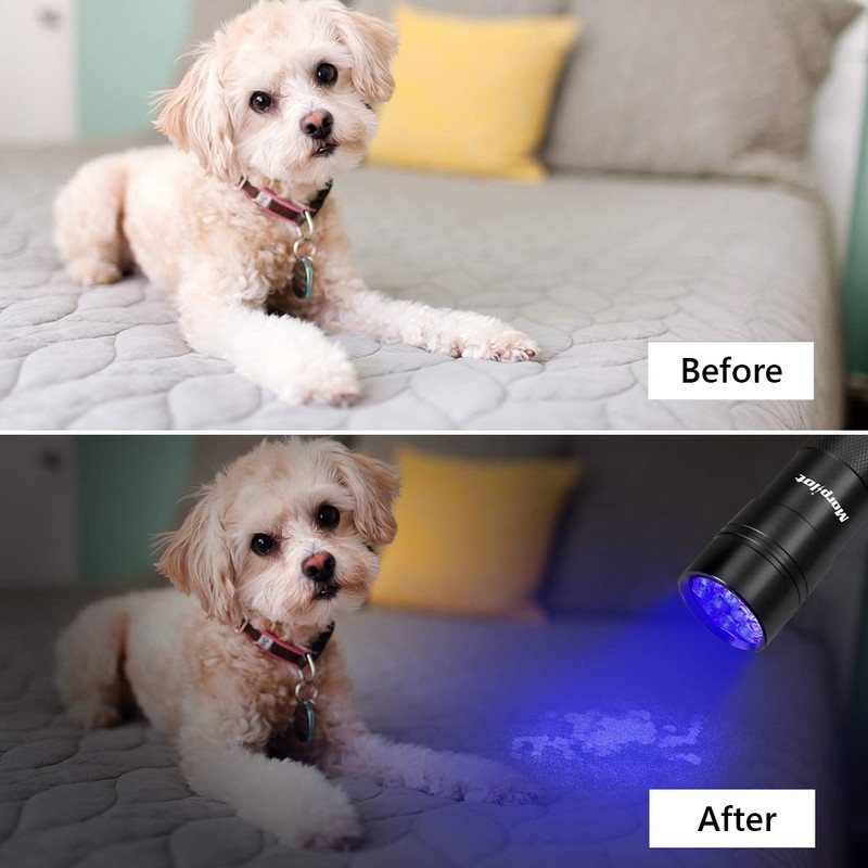 morpilot Black Light, UV Blacklight Flashlights 4 PCS 12 LEDs