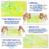 Aitoh Paper Origami Marbling Kit